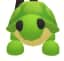 Turtle — item image