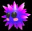 Urchin — item image