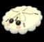 White Sand Dollar — item image