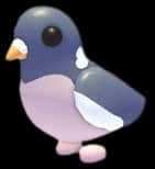 Wood Pigeon — item image