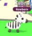 Zebra — item image