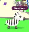 Zebra — item image