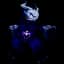 Shadow Dragon — item image