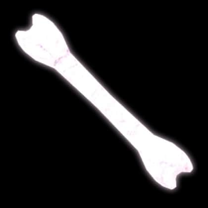 Bone — item image