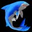 Shark — item image