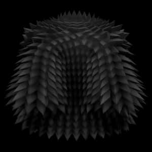 Black Spikey Coat — item image