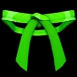Dojo Belt (Green) — item image