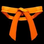Dojo Belt (Orange) — item image