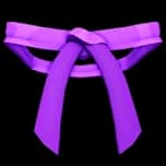 Dojo Belt (Purple) — item image