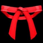 Dojo Belt (Red) — item image