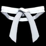 Dojo Belt (White) — item image