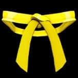 Dojo Belt (Yellow) — item image