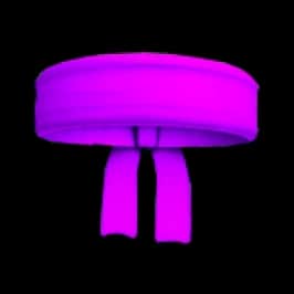 Headband (Purple) — item image