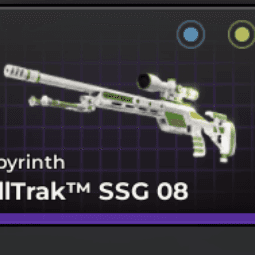 SSG 08 | Labyrinth — item image
