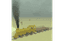 Gold Rush — item image