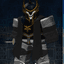 Fallen Guard — item image