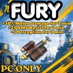 X500 Fury — item image