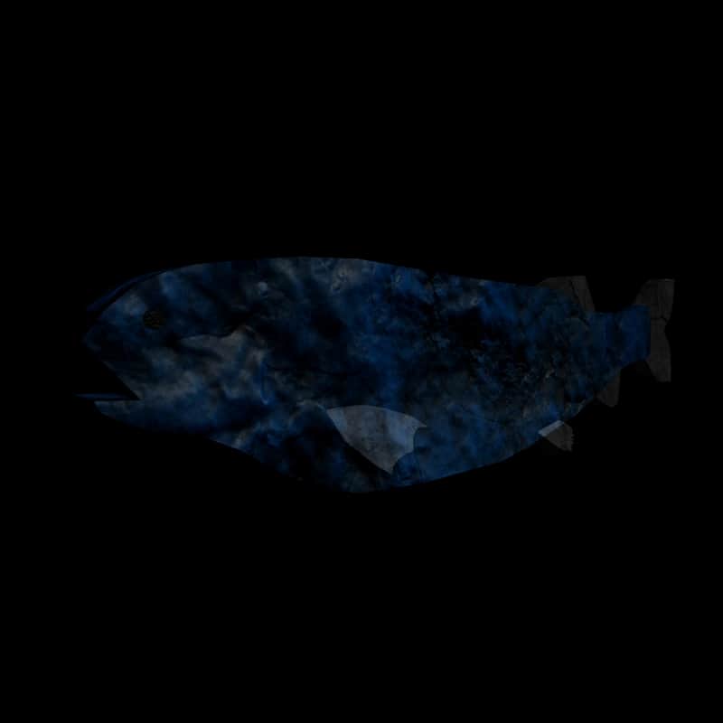 Abyssal Slickhead — item image