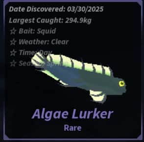 Algae Lurker — item image
