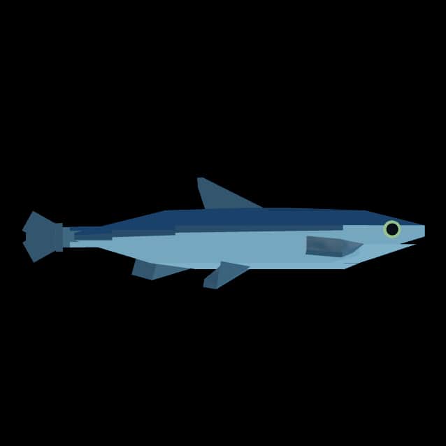 Anchovy — item image
