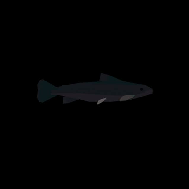 Arctic Char — item image