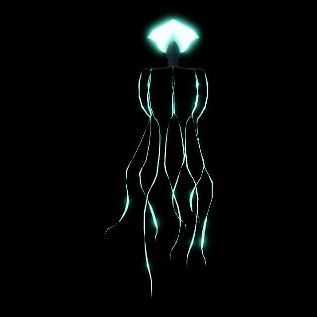 Bigfin Squid — item image