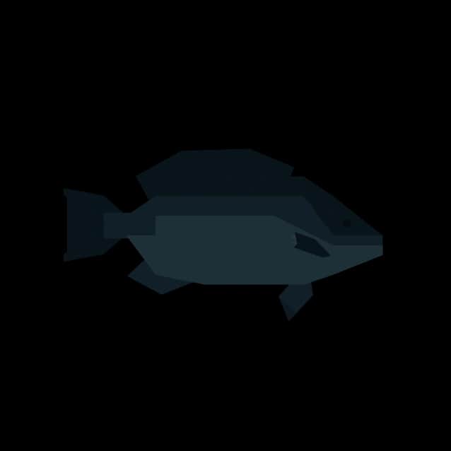 Blackfish — item image