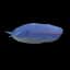 Blue Whale — item image