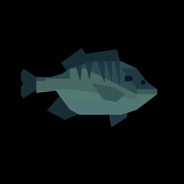 Bluegill — item image