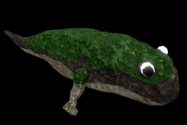 Bog Skulker — item image