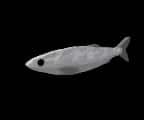 Bone-Plate Dace — item image