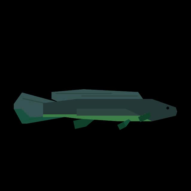Bowfin — item image