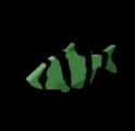 Cactus-Feeder Barb — item image