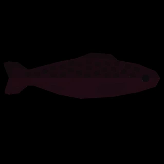 Candy Fish — item image