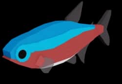Cardinal Tetra — item image