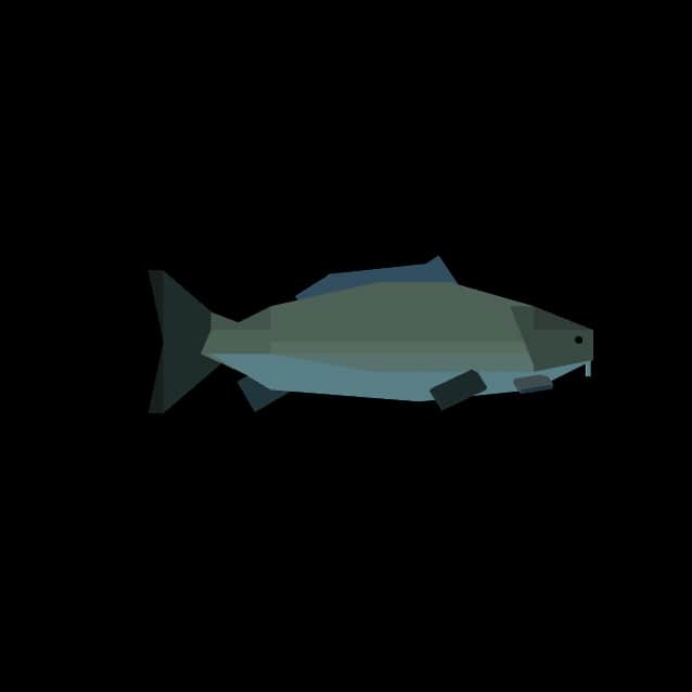 Carp — item image