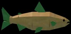 Carrot Salmon — item image
