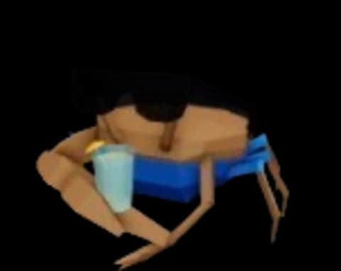 Chillin' Crab — item image