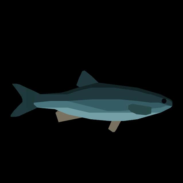 Chub — item image