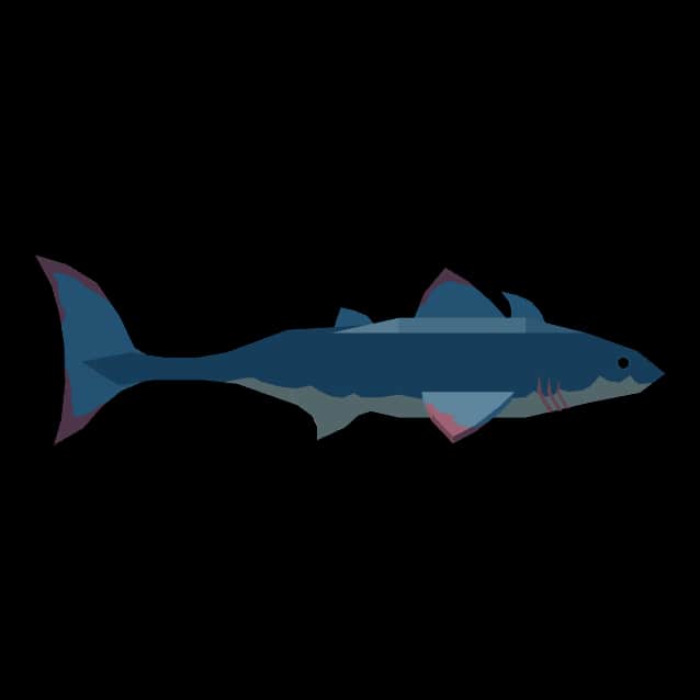 Cladoselache — item image