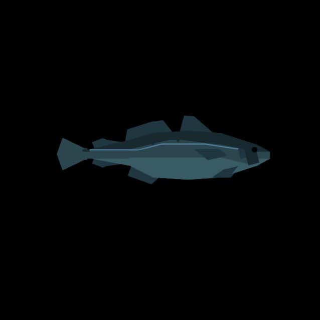 Cod — item image