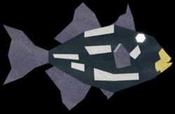 Coin Triggerfish — item image