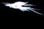 Colossal Ethereal Dragon — item image