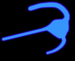 Dinoflagellates — item image