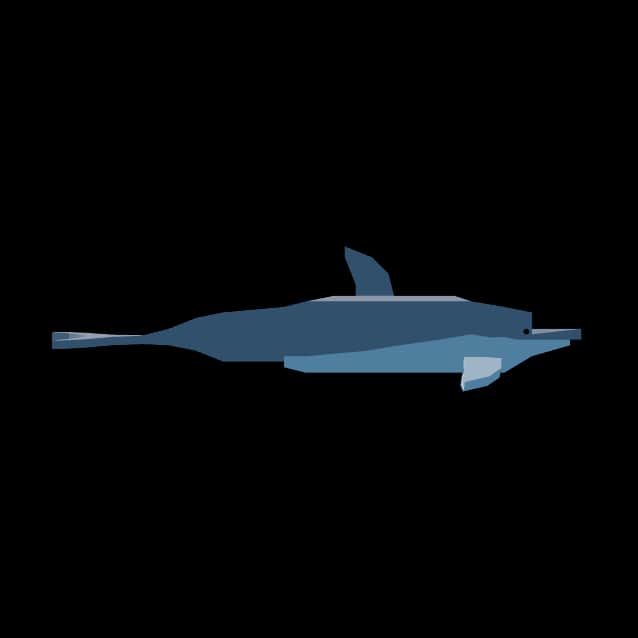 Dolphin — item image