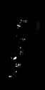 Dreambreaker Rod — item image