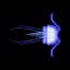Emperor Jellyfish — item image