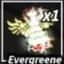 Evergreene — item image