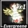 Evergreene — item image