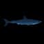 Great White Shark — item image